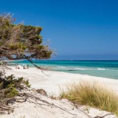 Отель Hibiscus Hotel Residence Италия, Синискола - отзывы, цены и фото номеров - забронировать отель Hibiscus Hotel Residence онлайн пляж фото 2