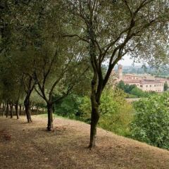Отель Terme Orvieto Италия, Абано-Терме - отзывы, цены и фото номеров - забронировать отель Terme Orvieto онлайн фото 7