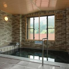 Hotel Hakuba Berg-Land Хакуба бассейн фото 3