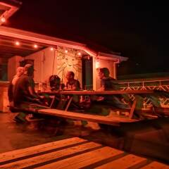 Reggae Hostel Ocho Rios гостиничный бар