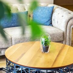 Business Hotel City Avenue фото 4