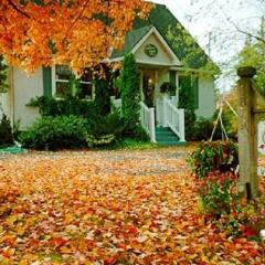Отель Clover Field House