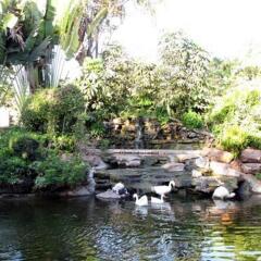 Rachawadee Resort and Hotel фото 3