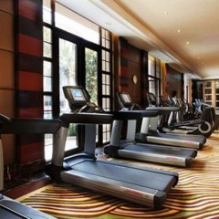 Отель Chateau Star River Pudong Shanghai Китай, Шанхай - отзывы, цены и фото номеров - забронировать отель Chateau Star River Pudong Shanghai онлайн фитнесс-зал