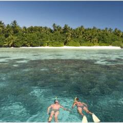Отель Makunudu Island Мальдивы, Боду-Хитхи - отзывы, цены и фото номеров - забронировать отель Makunudu Island онлайн пляж фото 2