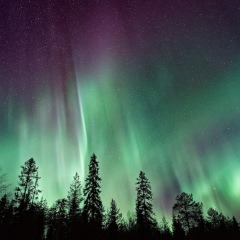 Отель Nordic Host Luxury Apts - Vestregata 72 Норвегия, Тромсе - отзывы, цены и фото номеров - забронировать отель Nordic Host Luxury Apts - Vestregata 72 онлайн