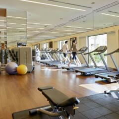 Отель Fairmont The Palm ОАЭ, Дубай - 2 отзыва об отеле, цены и фото номеров - забронировать отель Fairmont The Palm онлайн фитнесс-зал фото 4