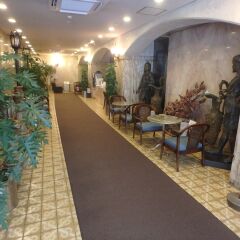 Hotel SUNTARGAS UENO интерьер отеля