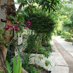 Отель The Krabi Forest Homestay фото 17