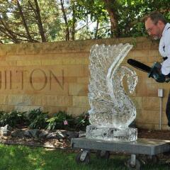 Отель Hilton Minneapolis- St. Paul Airport Блумингтон