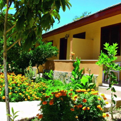 Hotel Ozlem Garden - All Inclusive фото 7