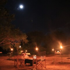 Отель Mahoora Tented Safari Camp All-Inclusive - Yala Шри-Ланка, Катарагама - отзывы, цены и фото номеров - забронировать отель Mahoora Tented Safari Camp All-Inclusive - Yala онлайн фото 7