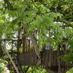 Отель Kapor Organik çiftlik evi Аванос