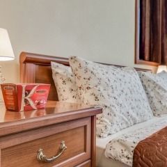 Апартаменты Ludwig Apartments Bolshaya Puskarskaya удобства в номере