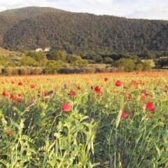 Отель Agriturismo Il Casalino Сполето фото 2