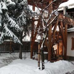 Hotel Casa Iurca in Sighetu Marmatiei, Romania from 85$, photos, reviews - zenhotels.com photo 5