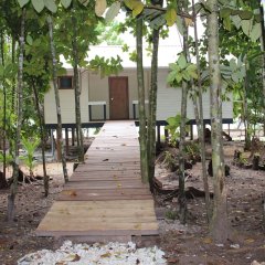 Evis Resort in Sege, Solomon Islands from 146$, photos, reviews - zenhotels.com photo 4