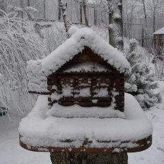 Отель Guest Complex Sosny Светлогорск с домашними животными