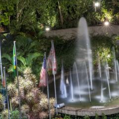 Maksoud Plaza Hotel Distributed by Accorhotels фото 4