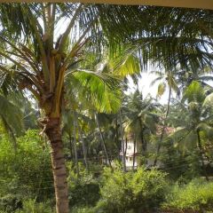 Отель Room Maangta 328 - Colva Goa Гоа