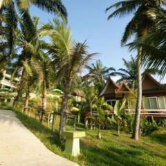 Отель Palm Paradise Resort детские мероприятия фото 2