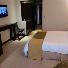Goldfinch Hotel Delhi NCR in Faridabad, India from 50$, photos, reviews - zenhotels.com room amenities