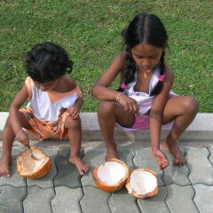 Отель Negombo Village детские мероприятия