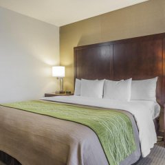Comfort Inn Kent - Seattle in Kent, United States of America from 165$, photos, reviews - zenhotels.com guestroom