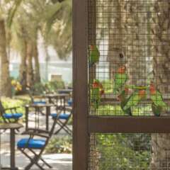 Отель Coral Beach Resort - Sharjah ОАЭ, Шарджа - 8 отзывов об отеле, цены и фото номеров - забронировать отель Coral Beach Resort - Sharjah онлайн балкон