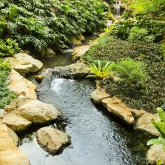 Отель Equatorial Penang Малайзия, Пенанг - отзывы, цены и фото номеров - забронировать отель Equatorial Penang онлайн фото 4