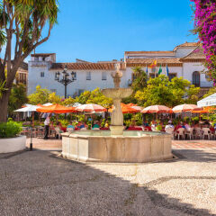 Amàre Beach Hotel Marbella с домашними животными