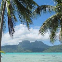 Pension Alice & Raphael in Bora Bora, French Polynesia from 305$, photos, reviews - zenhotels.com beach photo 2