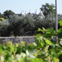Отель Trullo Dell’Antica Fileria Альберобелло фото 3