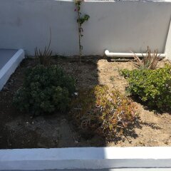 Отель Niabelo Villa Греция, Остров Санторини - отзывы, цены и фото номеров - забронировать отель Niabelo Villa онлайн бассейн