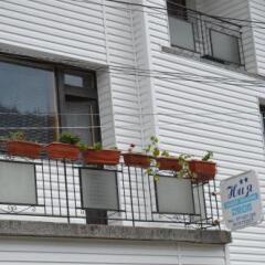 Отель Guest House Nia Болгария, Боровец - отзывы, цены и фото номеров - забронировать отель Guest House Nia онлайн балкон