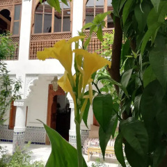 Отель Riad Ben Youssef Марокко, Марракеш - отзывы, цены и фото номеров - забронировать отель Riad Ben Youssef онлайн фото 11