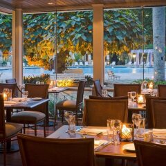 Отель Bourbon Cataratas Convention & Spa Resort гостиничный бар