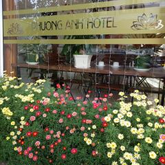 Phuong Anh Golf Valley Hotel Далат гостиничный бар