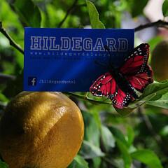 Отель Hildegard фото 2