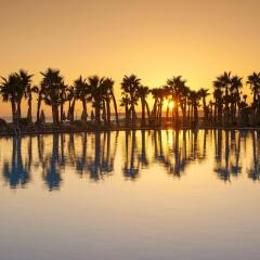 Отель VidaMar Algarve Resort фото 5