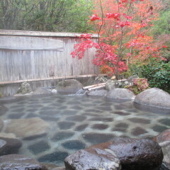 Отель Hozenji Onsen Ryokan Ebitei Минамиогуни бассейн