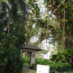 Отель Shangri-La's Rasa Sayang Resort and Spa, Penang Малайзия, Пенанг - отзывы, цены и фото номеров - забронировать отель Shangri-La's Rasa Sayang Resort and Spa, Penang онлайн фото 5