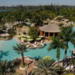 Seminole Hard Rock Hotel and Casino бассейн