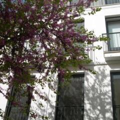 Отель Orange 3 House - Chiado Bed & Breakfast & Suites Португалия, Лиссабон - отзывы, цены и фото номеров - забронировать отель Orange 3 House - Chiado Bed & Breakfast & Suites онлайн фото 4