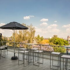 Отель One Guadalajara Expo с домашними животными
