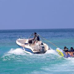 Kaani Beach Hotel с домашними животными