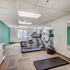 Holiday Inn Express Hotel & Suites Greenville Airport фитнесс-зал фото 3