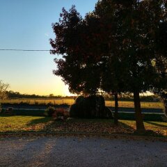 Отель Agriturismo Sartori Terenzio Италия, Куинто-Вичентино - отзывы, цены и фото номеров - забронировать отель Agriturismo Sartori Terenzio онлайн фото 3