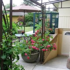 Отель Fraser Riverview Holiday Apartment Канада, Мэйпл-Ридж - отзывы, цены и фото номеров - забронировать отель Fraser Riverview Holiday Apartment онлайн фото 14