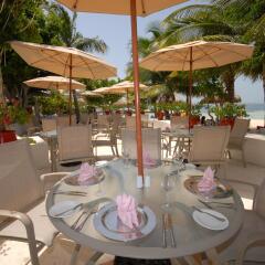 Oasis Palm Hotel питание